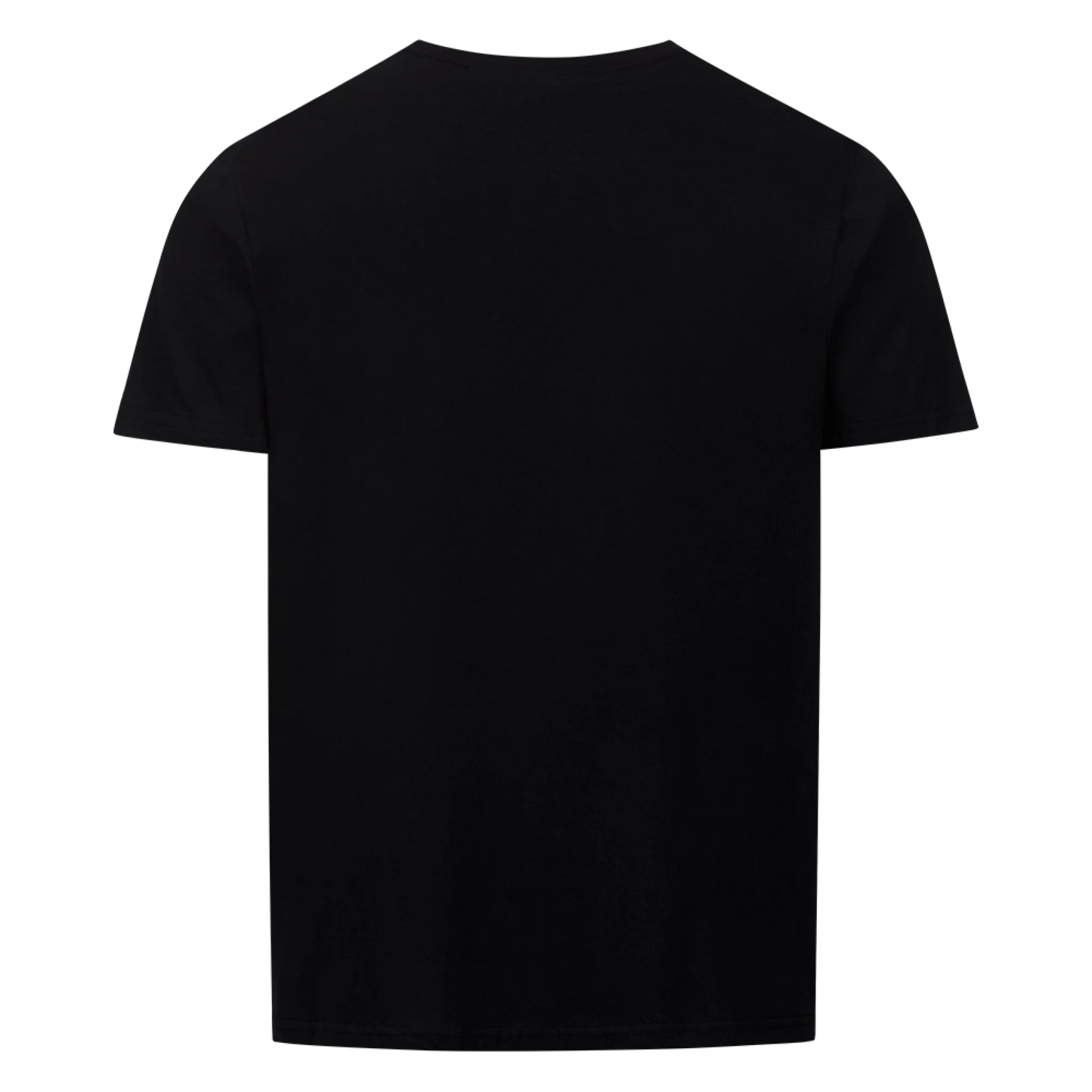 Renaissance-Porträt – Dein Hund als Adliger | Personalisiertes T-Shirt