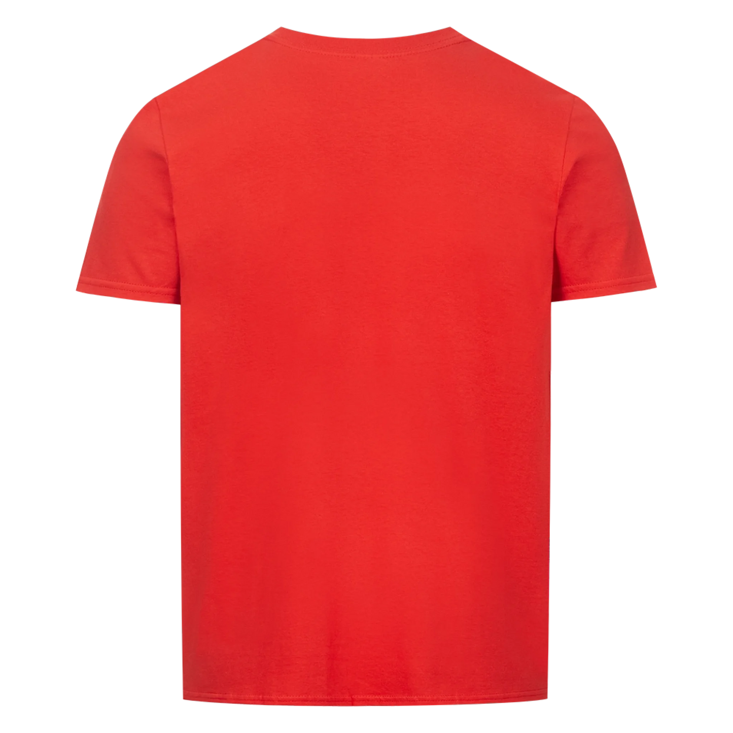 Renaissance-Porträt – Dein Hund als Adliger | Personalisiertes T-Shirt