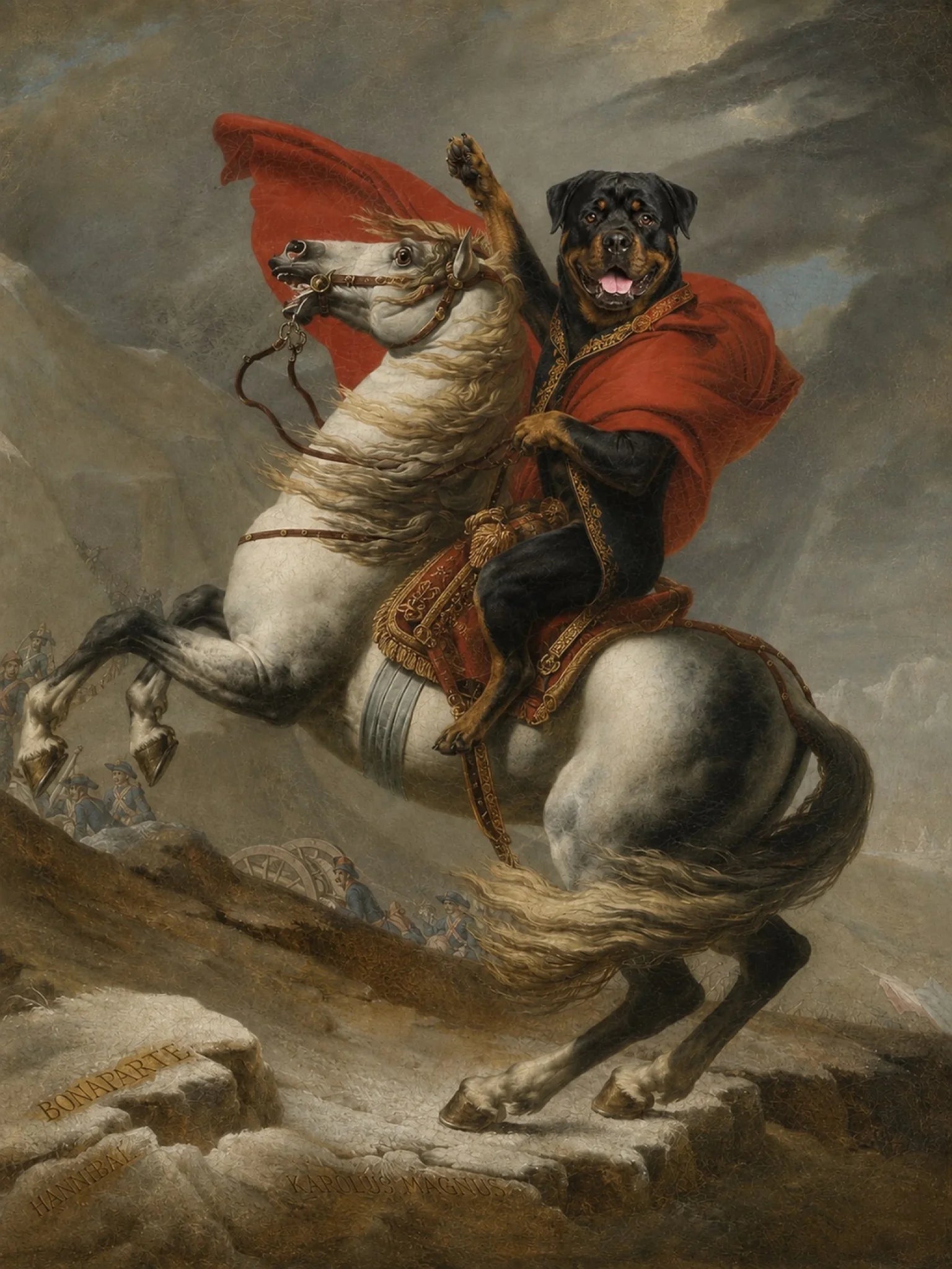 4K_08_NAPOLEON_Rottweiler